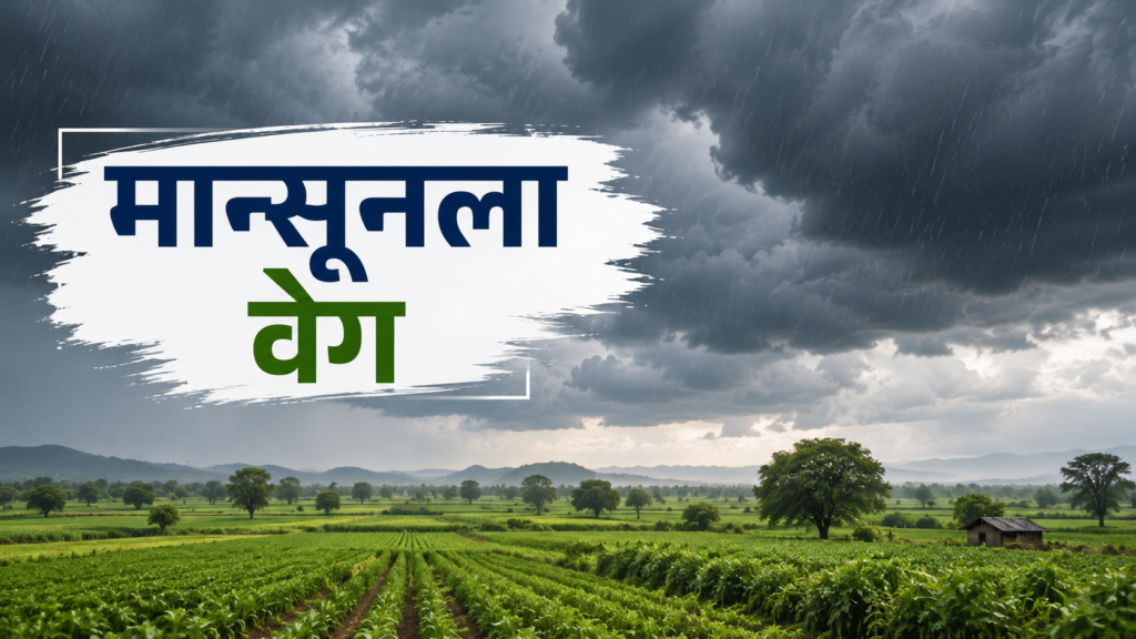 महाराष्ट्रातील मान्सून सक्रिय झाल्यानंतर पावसाची स्थिती सुधारण्याचे प्रतीकात्मक चित्र.